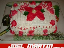 Bolo profissional para festas