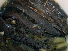 Conserva de berinjela