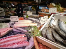 O peixe que faz bem à pele, ao coração e aos ossos: um verdadeiro "tesouro nutricional" dos mares