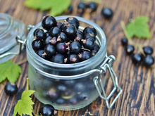 Cassis: o que é e seus benefícios para a saúde