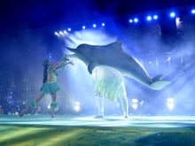 Boto Cor de Rosa vs Tucuxi: descubra a história do Festival dos Botos no Sairé