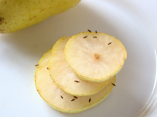 Não acreditei até testar: esse item comum em casa realmente afasta as mosquinhas de fruta