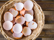 Casca de ovo: 4 dicas para reaproveitá-la