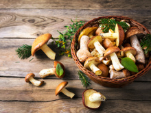 Cogumelos comestíveis: quais são e como preparar