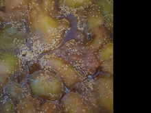 Doce de figo da roça 