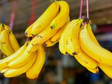 Por que as pessoas estão guardando banana pendurada?