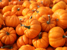 6 benefícios da abóbora para a saúde