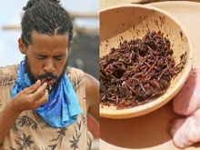 Seu estômago vai embrulhar! 'No Limite' testa paladar e psicológico dos participantes