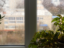 Como preparar a sua casa e o seu jardim para o ciclone e frente fria