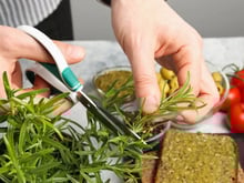 Consumido em receitas ou no chá: alecrim é tiro e queda para desconforto respiratório do inverno