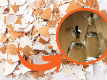 Entorne vinagre nas cascas de ovos e jogue-as no jardim: uma solução rápida para um problema bem conhecido