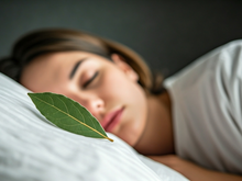 Não é só superstição: dormir com folha de louro debaixo do travesseiro faz efeito de verdade e ganha respaldo da ciência