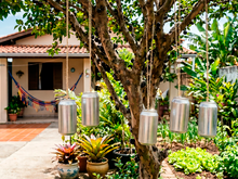 Para que serve pendurar latas de refrigerante no jardim? Essa técnica está se tornando popular e a explicação é simples