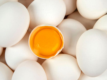 Será que vamos comer ovos assim no futuro? É melhor nos prepararmos para o que pode nos aguardar