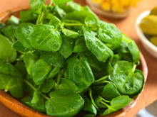 Segundo pesquisadores, só 100g deste vegetal garantem todas as vitaminas que o seu corpo precisa; é o alimento mais saudável do mundo!