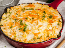 Frango desfiado e gratinado