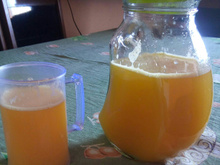Refrigerante caseiro
