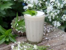 Vitamina de camomila é a bebida doce por natureza e refrescante que vai mudar o seu dia: deliciosa e cheia de benefícios