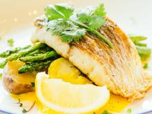 O mistério foi resolvido: o peixe considerado um dos mais saudáveis do mundo é comum em nosso país