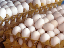 Sempre compre ovos menores: uma vendedora me contou um segredo que ninguém sabe e que salvou minha saúde e meu dinheiro