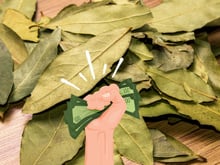 Os rituais com louro para atrair dinheiro e sorte que você deve fazer durante a lua crescente