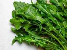 O vegetal esquecido que melhora a digestão, alivia as inflamações e é ótimo para deixar sua salada mais nutritiva