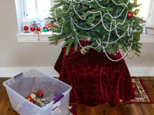 Desmontar a árvore de Natal no dia errado pode bloquear energias: veja a data certa do Feng Shui para atrair sucesso e abundância em 2026