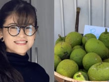 Influencer lança "Tinder das frutas" para evitar desperdício: aplicativo une vizinhos para vender, trocar e doar alimentos e já tem mais de 20 mil usuários