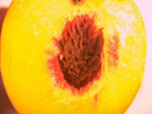 Torta de pessegos (peach pie)