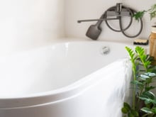 Se você acha que planta não combina com banheiro, essas opções provam o contrário