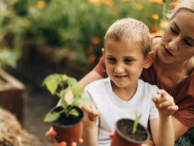 As plantas que você deve cultivar em outubro de acordo com cada região do país