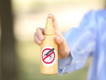 Chega de insetos! Com essas dicas caseiras os mosquitos e pernilongos vão passar longe da sua casa