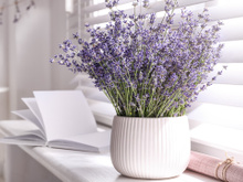 Minha vida mudou desde que eu passei a espalhar essa flor pela casa: afasta a tristeza e deixa tudo mais feliz