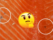 O que são essas manchinhas pretas no salmão? Posso comer ou faz mal? Descubra no TudoGostoso!