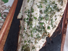 Filé bacalhau na grelha