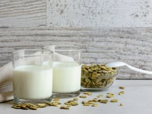 Leite vegetal que quase ninguém conhece fortalece os ossos com muito magnésio: receita sem lactose e sem caseína é fácil de fazer e nutritiva