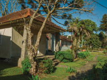 3 árvores frutíferas que você não deve ter no seu jardim; veja por quê