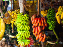 Afinal, banana prende ou solta o intestino? Nutricionista responde