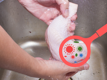 Lavar ou não lavar o frango, eis a questão! Dr. Bactéria revela a VERDADE sobre esse hábito