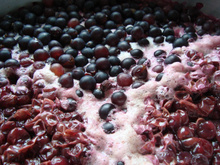 Suco de uva preta da Jussara