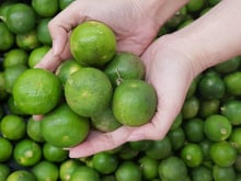 Aprendi um truque que deixa o limão fresquinho por semanas, sem murchar ou ressecar, nem perder o sabor