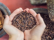 Carregar um cravo-da-índia embrulhado no pano: tradição, aroma ou superstição? Truque atravessa gerações
