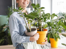 Com quantos anos você descobriu que ter essas plantas em casa vão melhorar o seu humor e diminuir sua ansiedade?