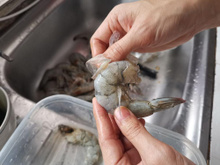 Limpar camarão não precisa ser estressante: 4 dicas que vão te ajudar na tarefa