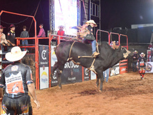 Festa do Peão em Pirajuba/MG terá rodeio, cavalgada, show de Alok e mais