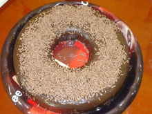 Brigadeirão