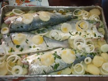 Anchova Regrada