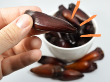 Benefícios e malefícios do pinhão: saiba por que comer essa semente popular nas festas juninas, quanto consumir e cuidados