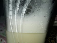 Leite fermentado (kefir)