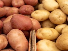 Não guarde batatas no saco plástico: este truque do TudoGostoso pode mantê-las boas por quase 2 meses